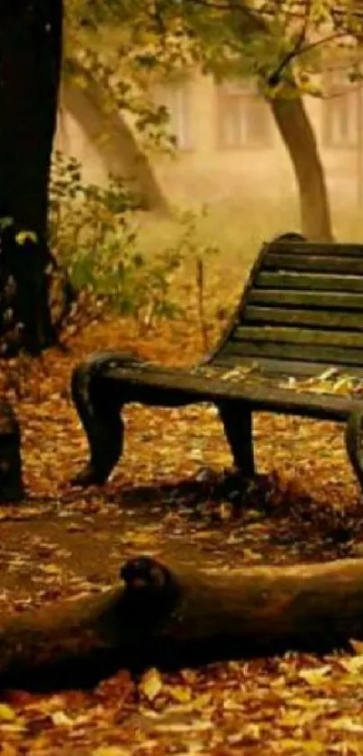 Rustic park bench amidst autumn leaves and misty trees.