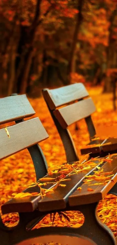 Autumn park bench with golden leaves and warm hues in a serene setting.