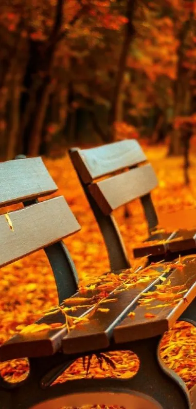 Park benches in a vibrant autumn setting with fallen leaves.