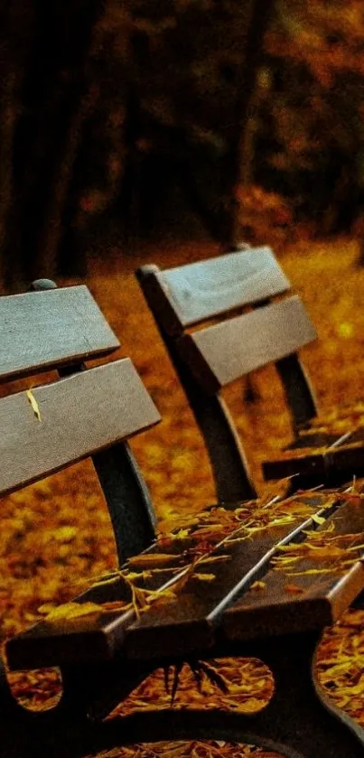 Autumn park benches with fallen leaves on a vibrant fall background.