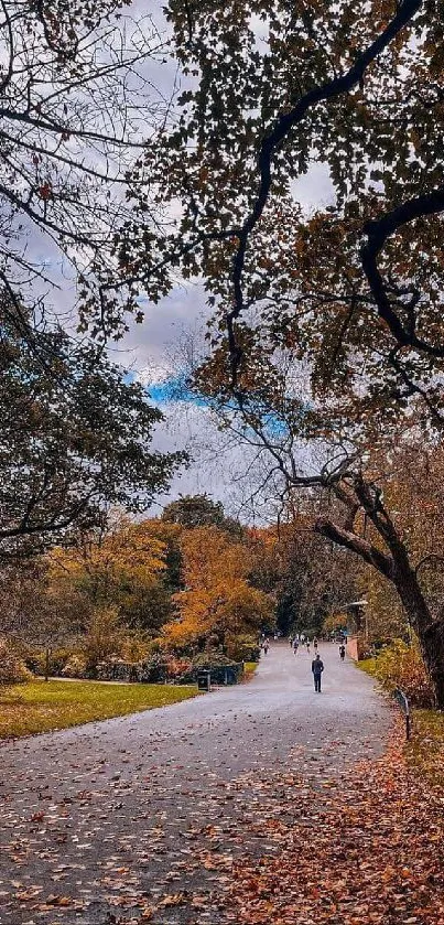 Scenic autumn park pathway with vibrant fall colors and leaf-covered walkway.