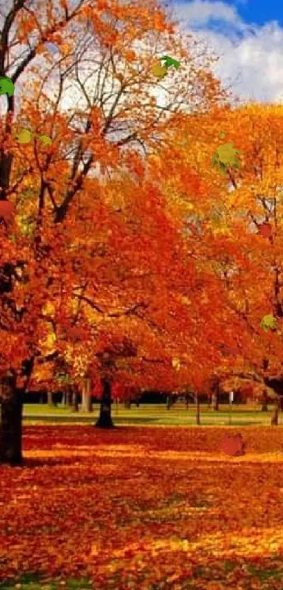 Autumn park with orange leaves and blue sky.