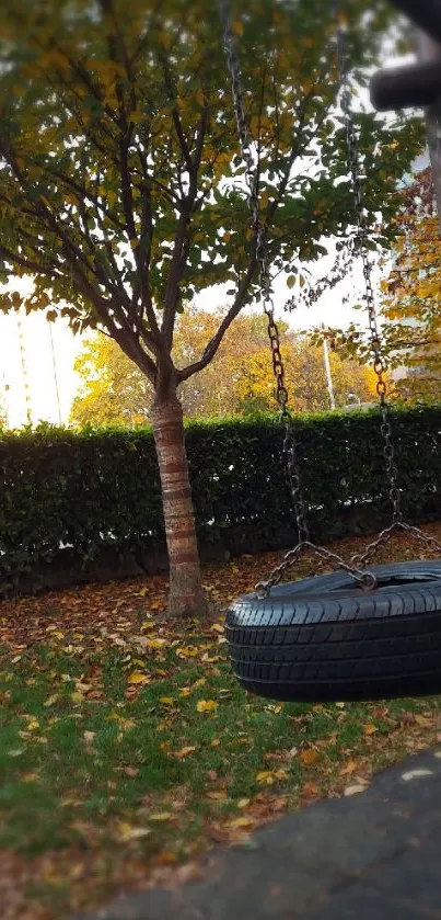 Tire swing in a park with autumn leaves and green trees.