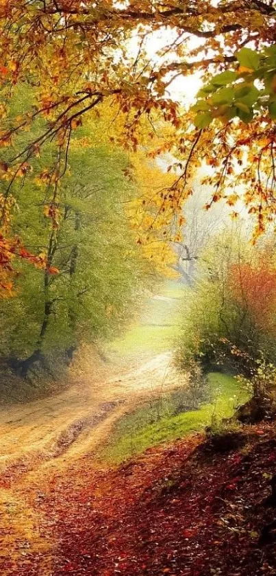 Vibrant autumn forest path with colorful leaves and sunlight.