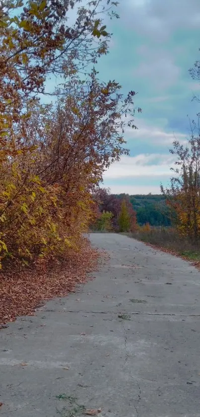 Serene autumn path with vibrant foliage and clear sky.