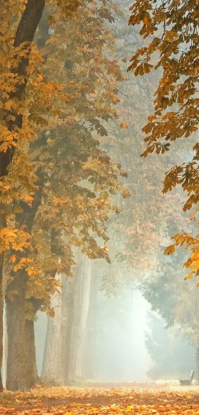 Misty forest path with orange autumn leaves and towering trees.