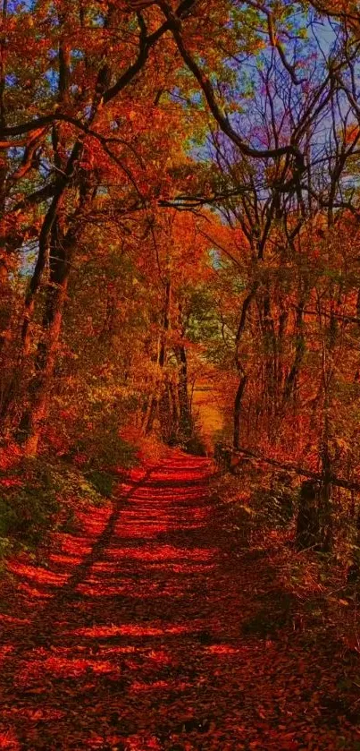 Scenic autumn path with vibrant red and orange leaves illuminated by sunlight.