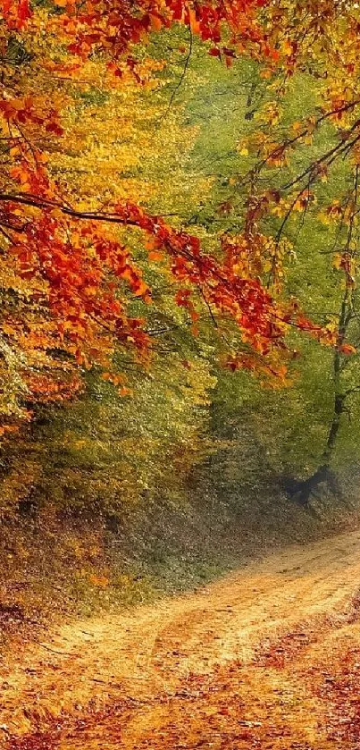 Beautiful autumn forest path with golden leaves.