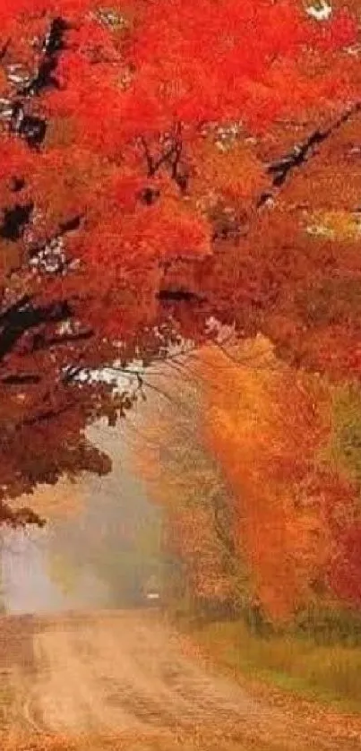 Vibrant autumn path with red and orange leaves overhanging a scenic path.