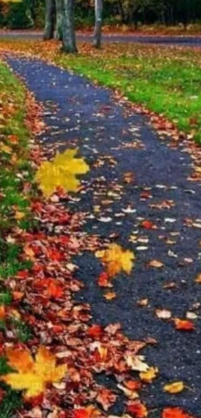 Autumn path with colorful fallen leaves, perfect for mobile wallpaper.