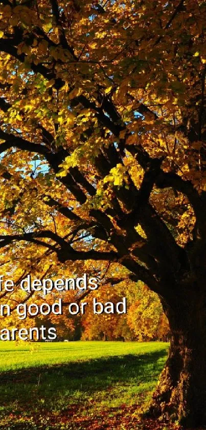Autumn path with golden trees and motivational message.