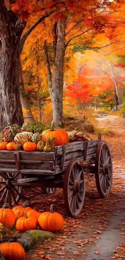 Autumn path with pumpkins and fall foliage.