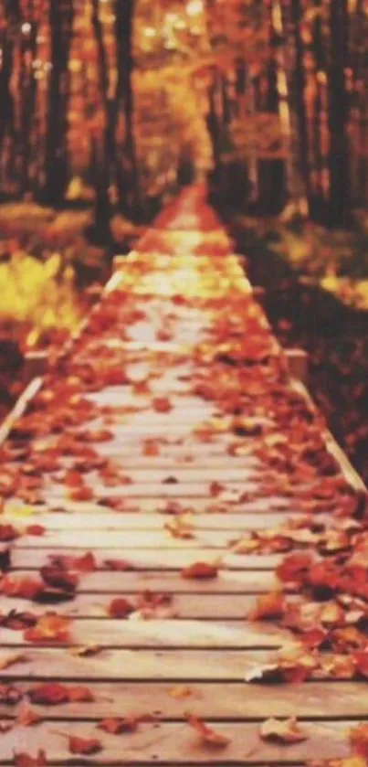 Wooden path with autumn leaves in a forest, radiating warm tones.