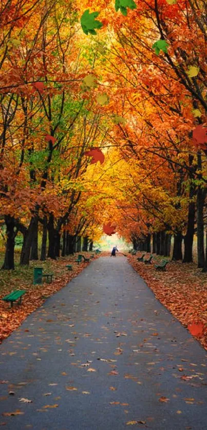 Vibrant autumn pathway with colorful trees in fall.