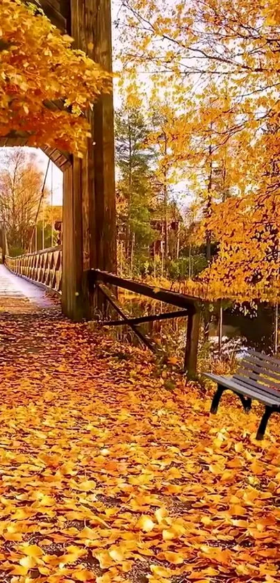 Beautiful autumn bridge path with orange leaves and bench.