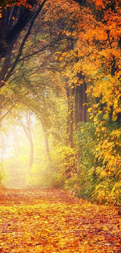 Vibrant autumn forest pathway lined with colorful leaves.