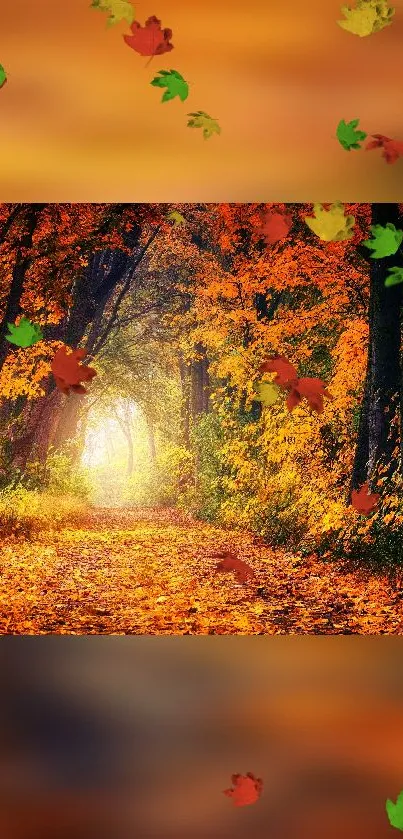 Vibrant autumn forest pathway with falling leaves and glowing sunlight.