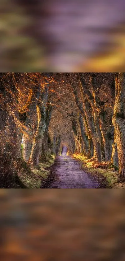 A tranquil autumn pathway lined with golden brown trees, perfect for mobile wallpaper.