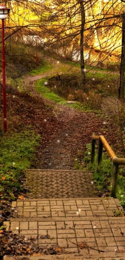 Peaceful autumn forest pathway with yellow foliage.