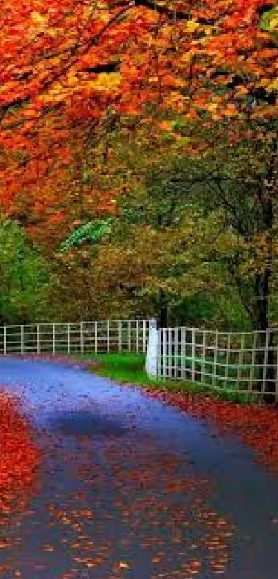 Serene autumn path with red-orange leaves and a white fence.