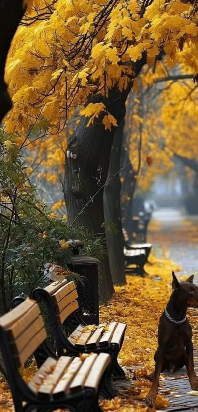 A dog on a leafy autumn path with benches and golden trees.