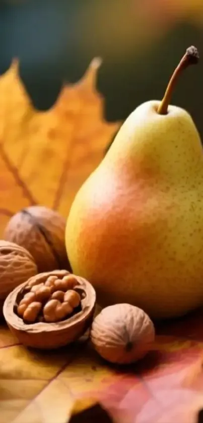 Autumn-themed wallpaper with a pear and walnuts.