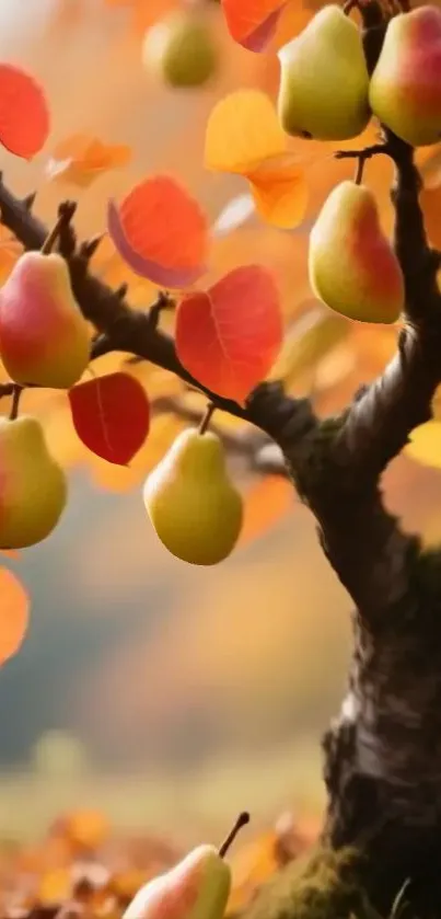 Autumn scene with a pear tree and vibrant leaves on a mobile wallpaper.