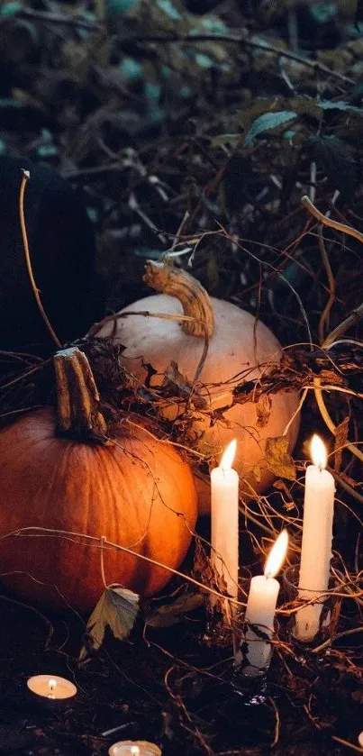 Rustic scene with pumpkins and lit candles.