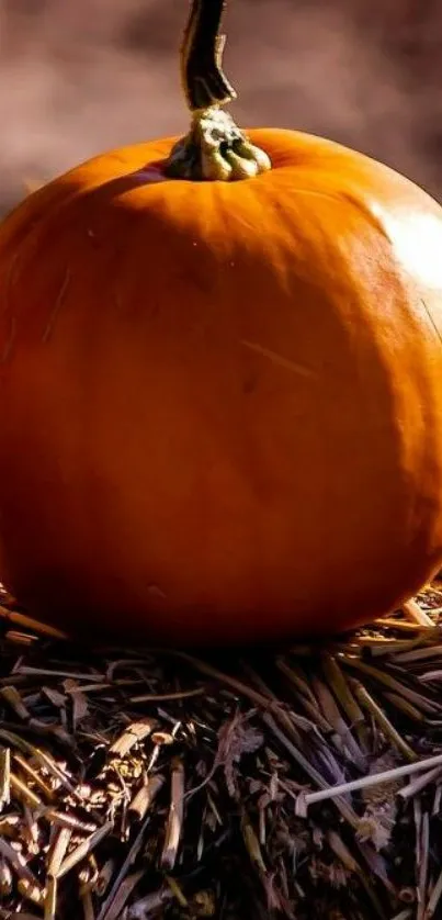 Orange pumpkin on hay with warm autumn tones.