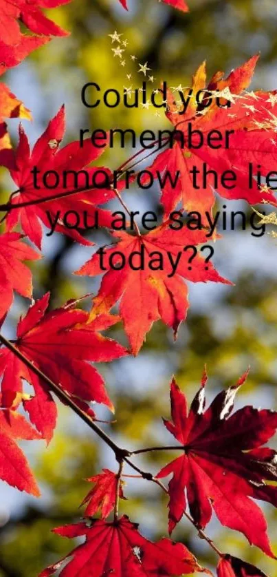 Red autumn leaves with motivational quote.