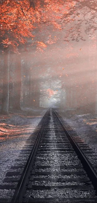 Misty railway path through autumn forest with orange and brown foliage.