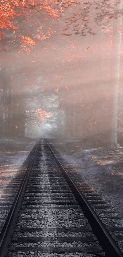 Misty autumn railway through forest, orange leaves glowing.