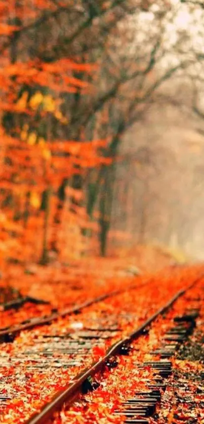 Scenic autumn railway path with vibrant orange leaves.