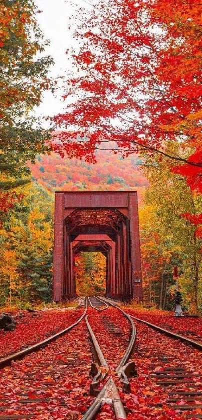 Autumn railway with vibrant red leaves and a picturesque track.