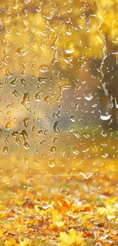 Yellow autumn leaves with raindrops in serene mobile wallpaper.