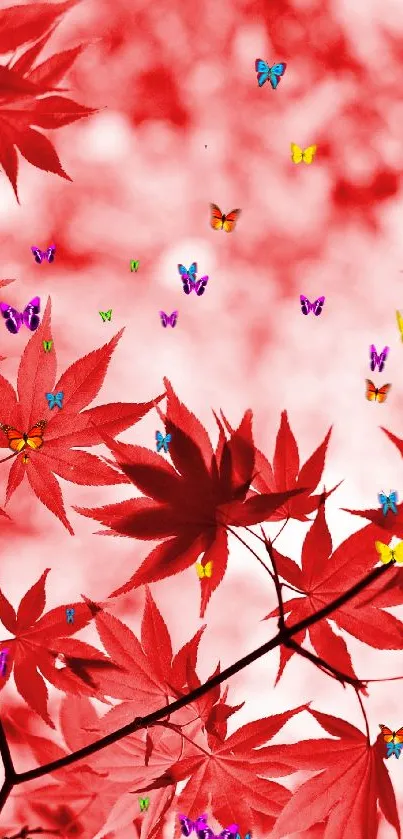 Red maple leaves with colorful butterflies on a vibrant autumn-themed wallpaper.