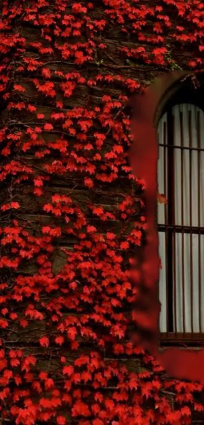 Mobile wallpaper featuring red vines on a historic building.