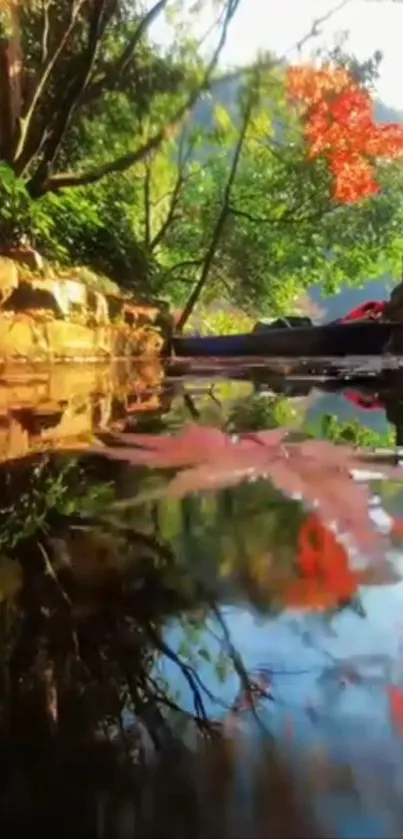 Autumn leaves reflecting on a tranquil stream.