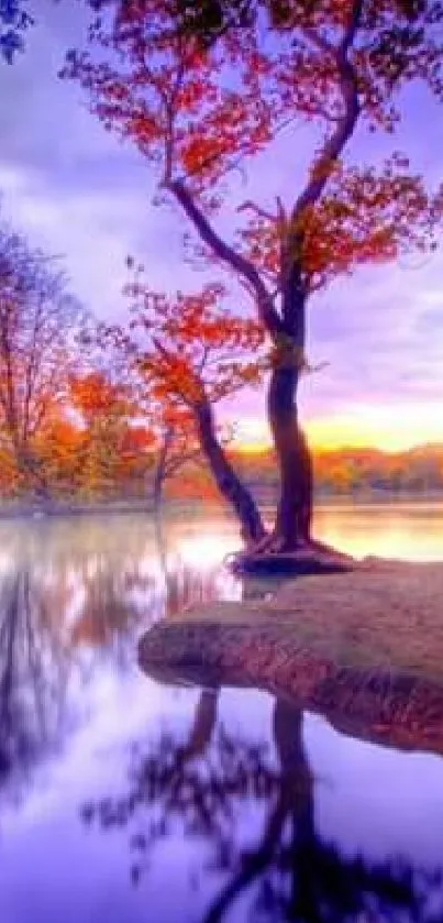 Stunning autumn landscape with sunset reflection on a tranquil lake.