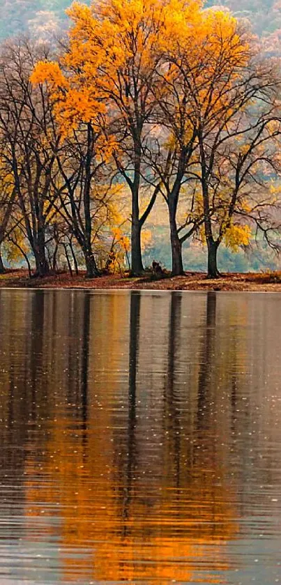 Vibrant orange autumn trees reflected on a serene lake.