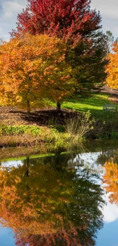 Vibrant autumn trees reflecting in a serene lake, ideal for mobile wallpaper.