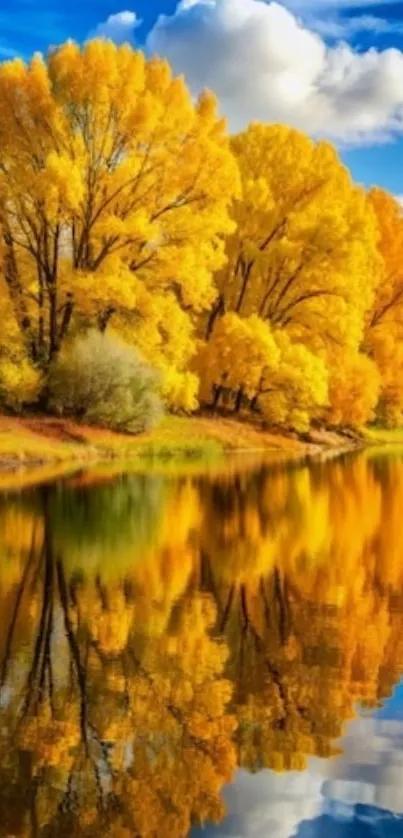 Autumn landscape with golden trees reflected in a calm lake under a blue sky.