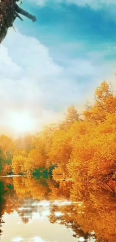 Golden autumn trees reflected in a calm river under a bright blue sky.