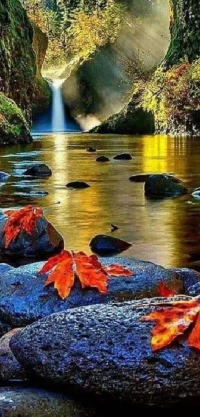 Autumn river with vibrant leaves in a tranquil forest setting.