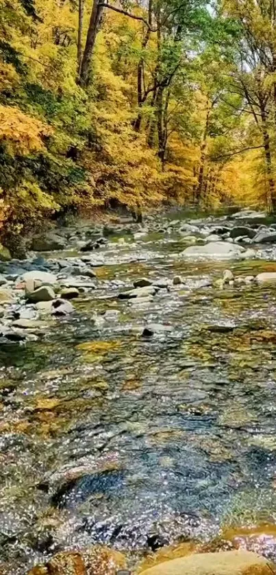 Serene autumn river with golden leaves and lush green forest.