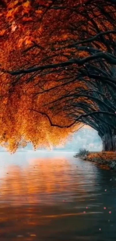 Autumn trees reflecting on a calm river, creating a peaceful nature scene.