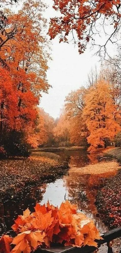 Vibrant autumn leaves by a serene river with orange and red foliage.