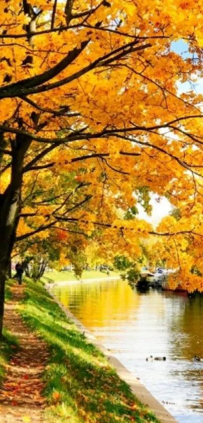 Serene autumn riverbank with golden leaves and calm water.