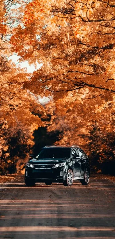 Autumn scene with a car on a road surrounded by vibrant orange leaves.