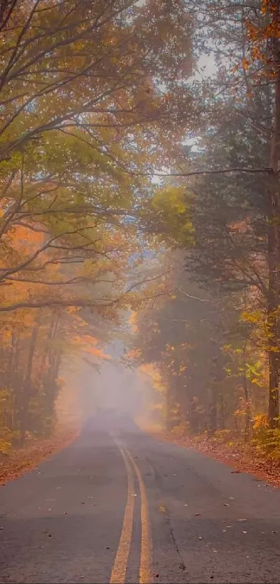 Misty autumn road through a vibrant forest.